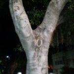 Group Profile photo of erotic environment